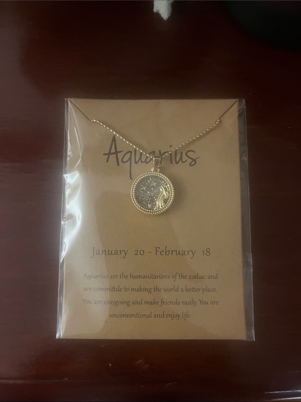 NWT Aquarius Zodiac Constellation Minimalist Pendant Necklace with Claw Clasp.